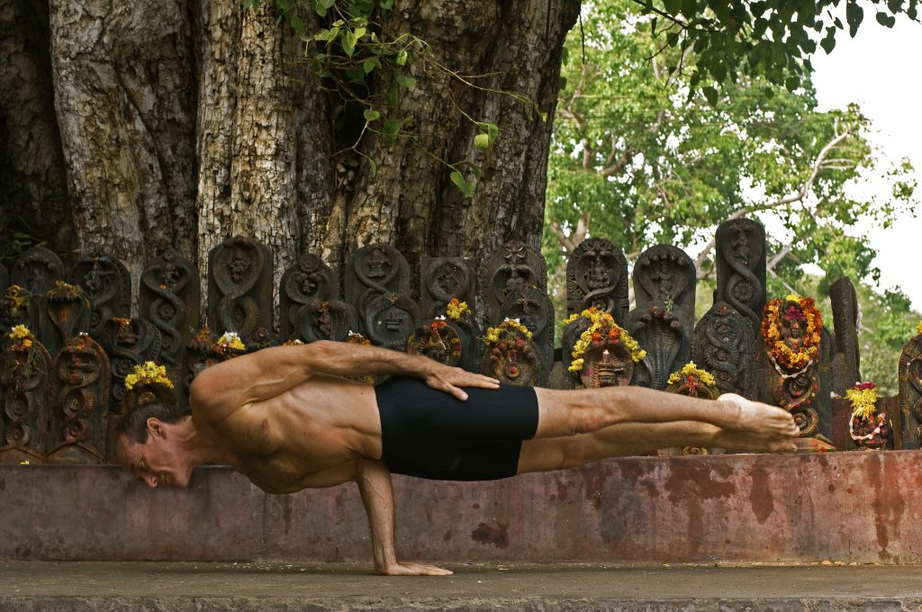 David Swenson, la leyenda viva del Ashtanga Yoga - El blog de YogaOne